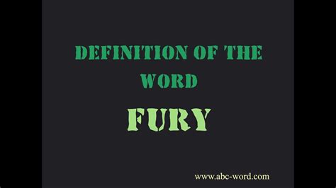 definition of the word fury